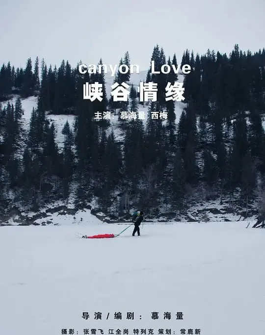 峡谷情缘 夸克网盘