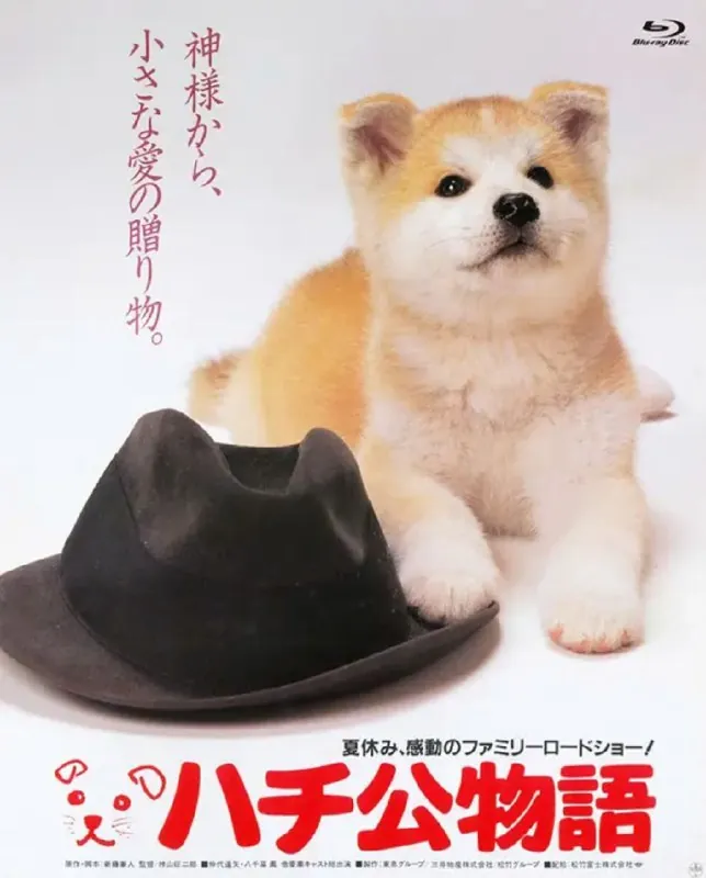 忠犬八公物语 夸克网盘