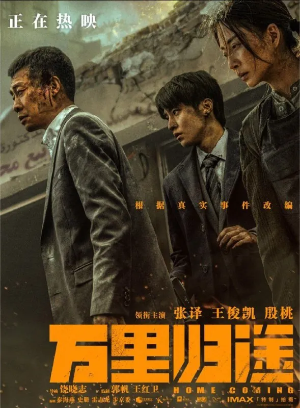 万里归途 夸克网盘