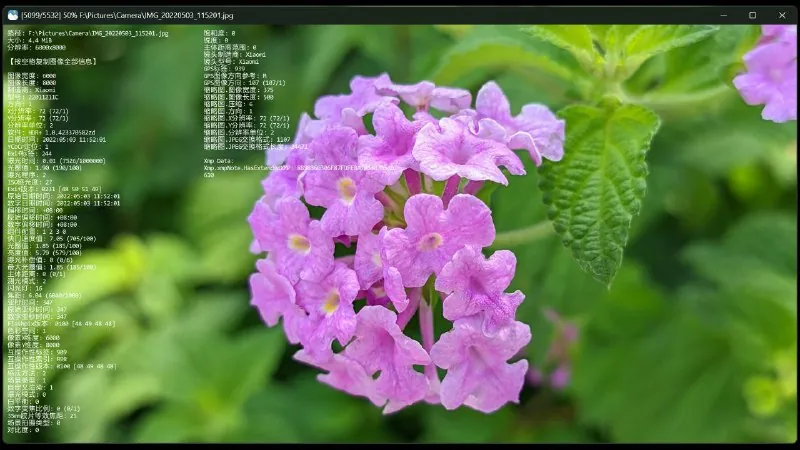 JarkViewer-高效便捷多格式图片查看器 百度网盘