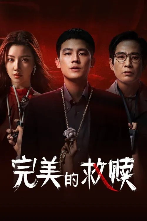 完美的救赎 夸克网盘