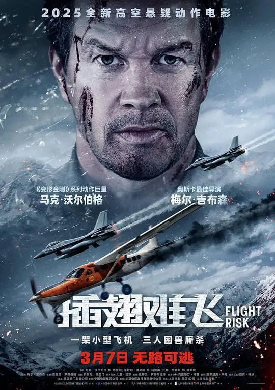 插翅难飞 夸克网盘