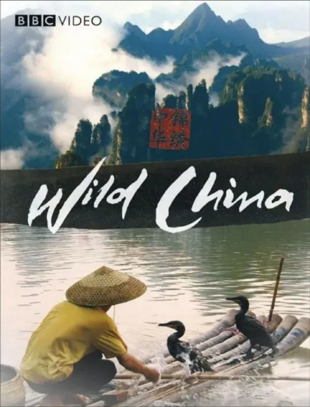 美丽中国 夸克网盘